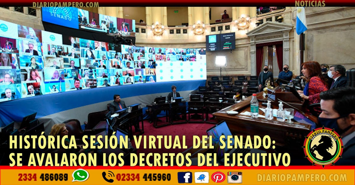 senado3