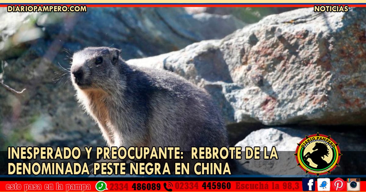 peste