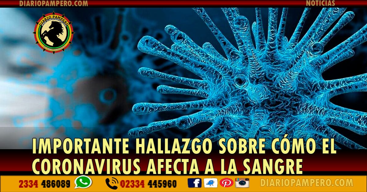 sangre