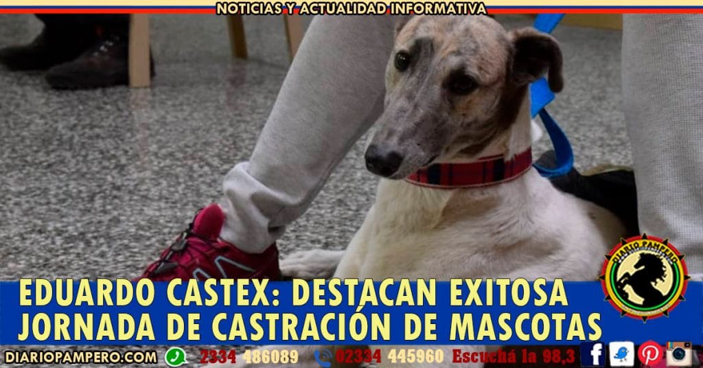 EDUARDO CASTEX: destacan exitosa jornada de castración de mascotas