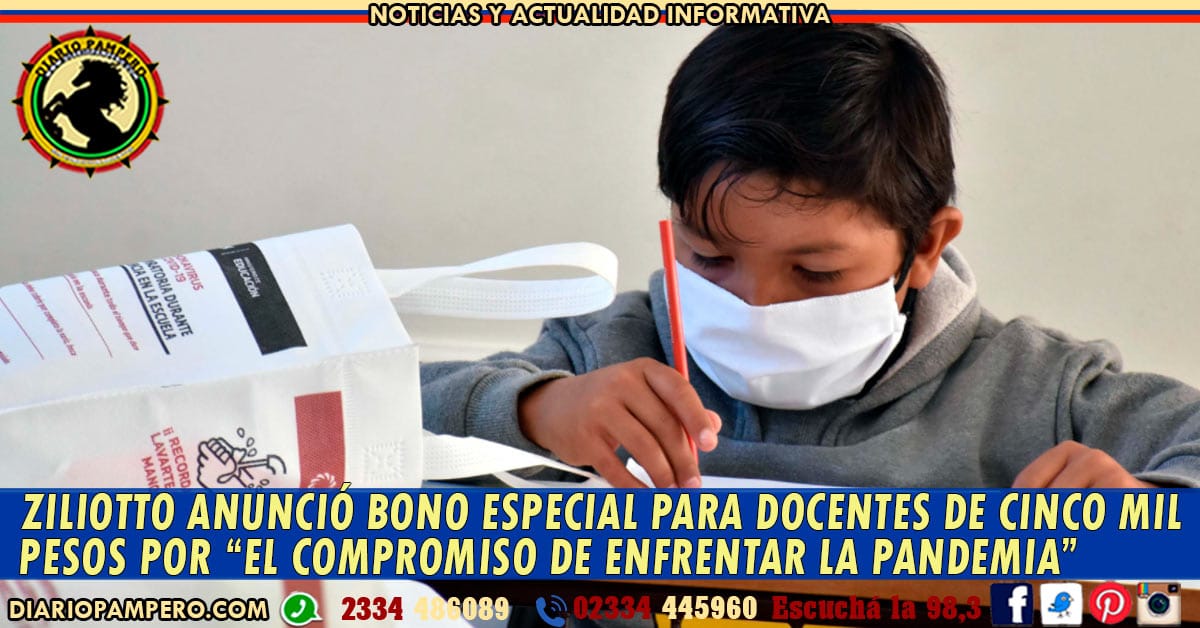 docentes