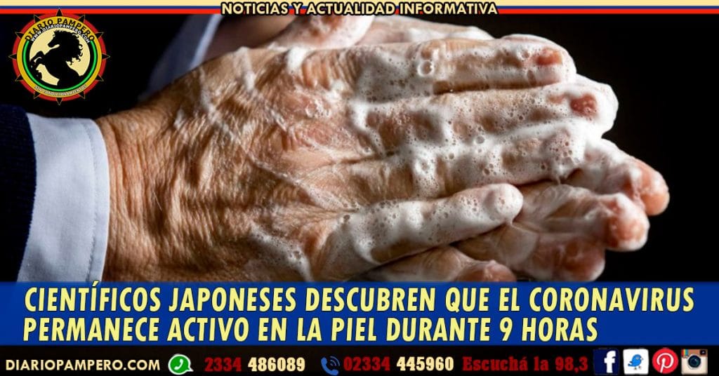 Científicos japoneses descubren que el coronavirus permanece activo en la piel durante 9 horas