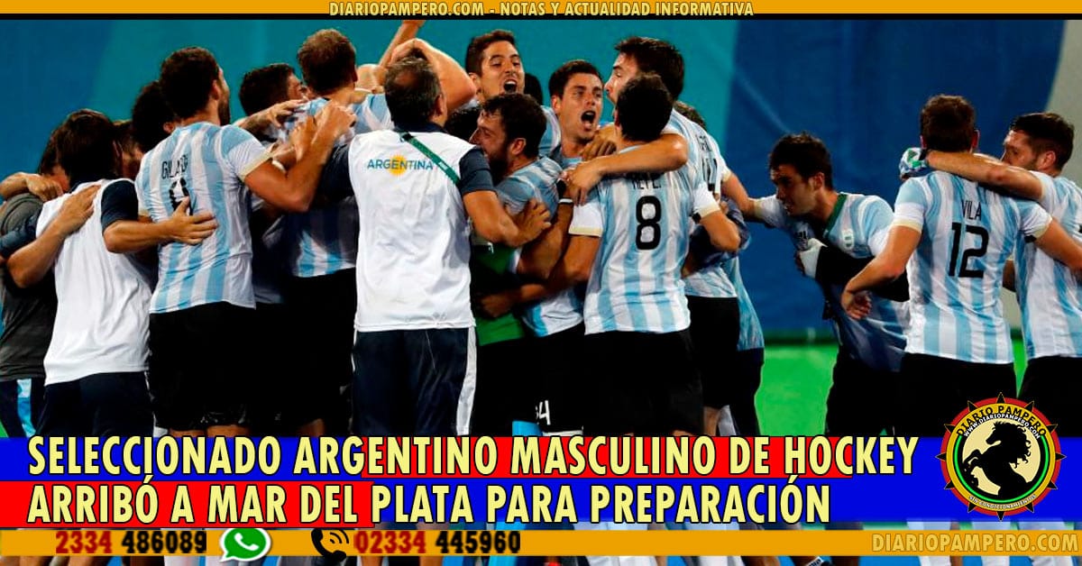 hockey