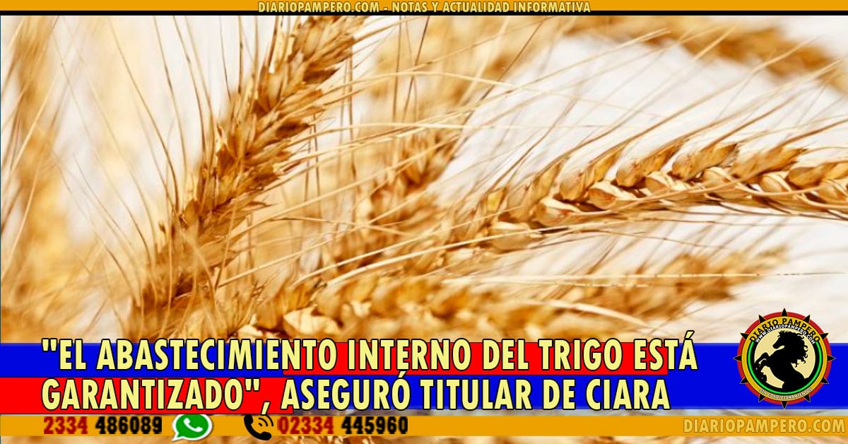 trigo