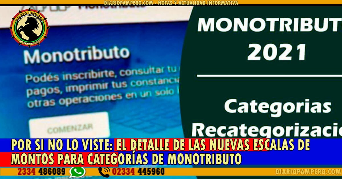 monotributo