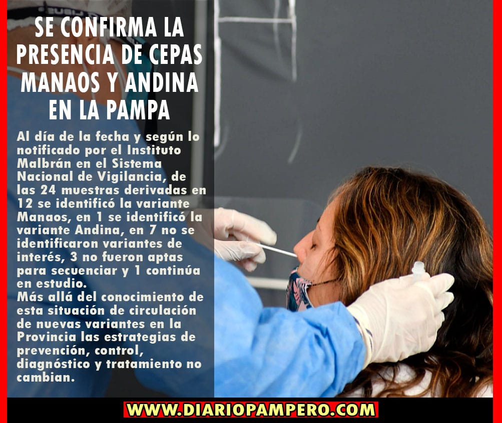 andina2