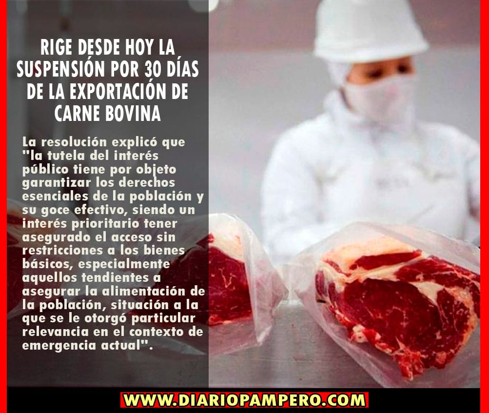 bovina