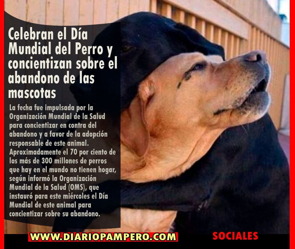perro