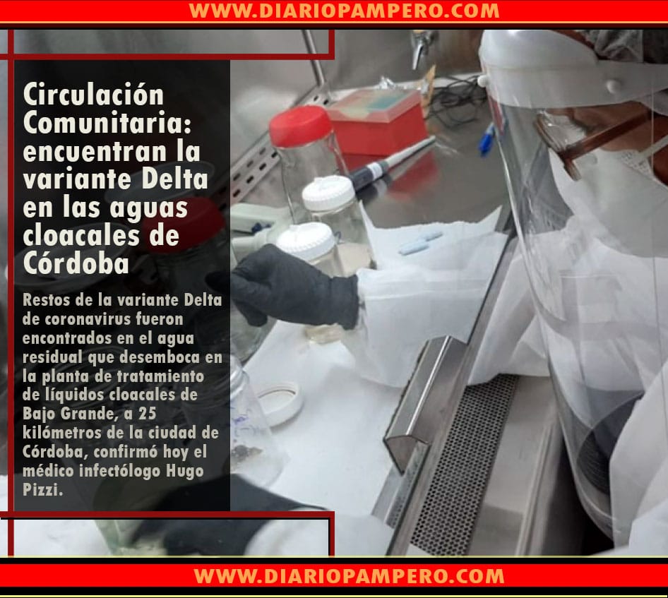 circulacion