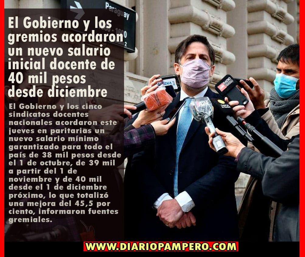 docentes