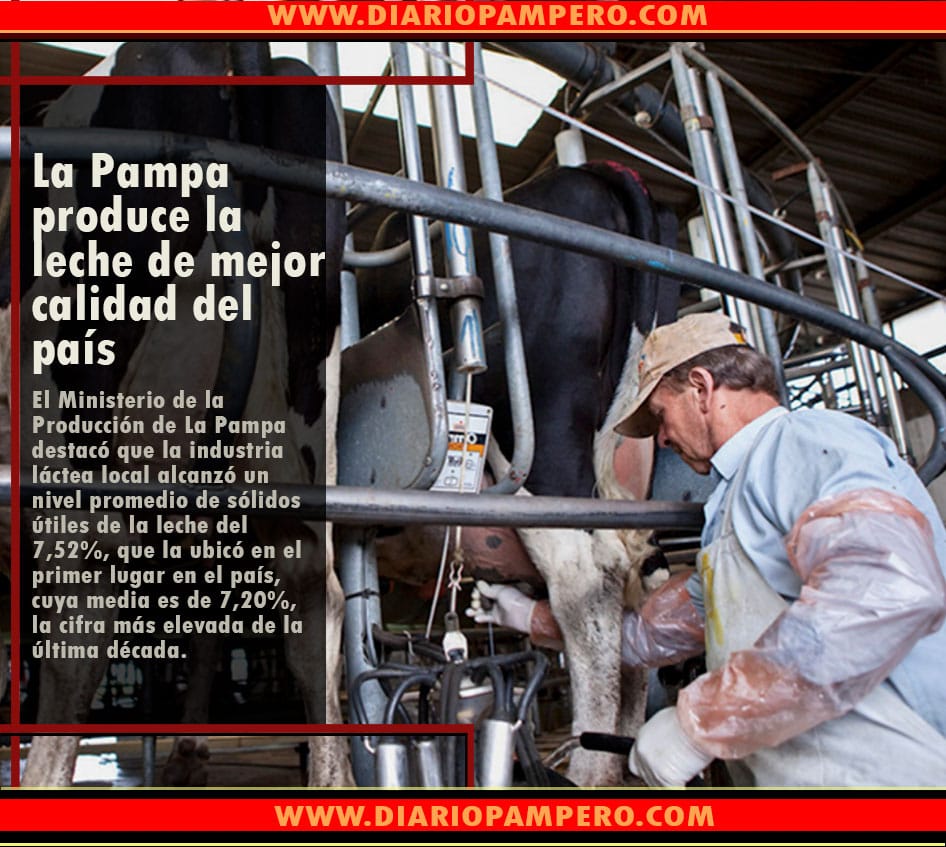 pampa