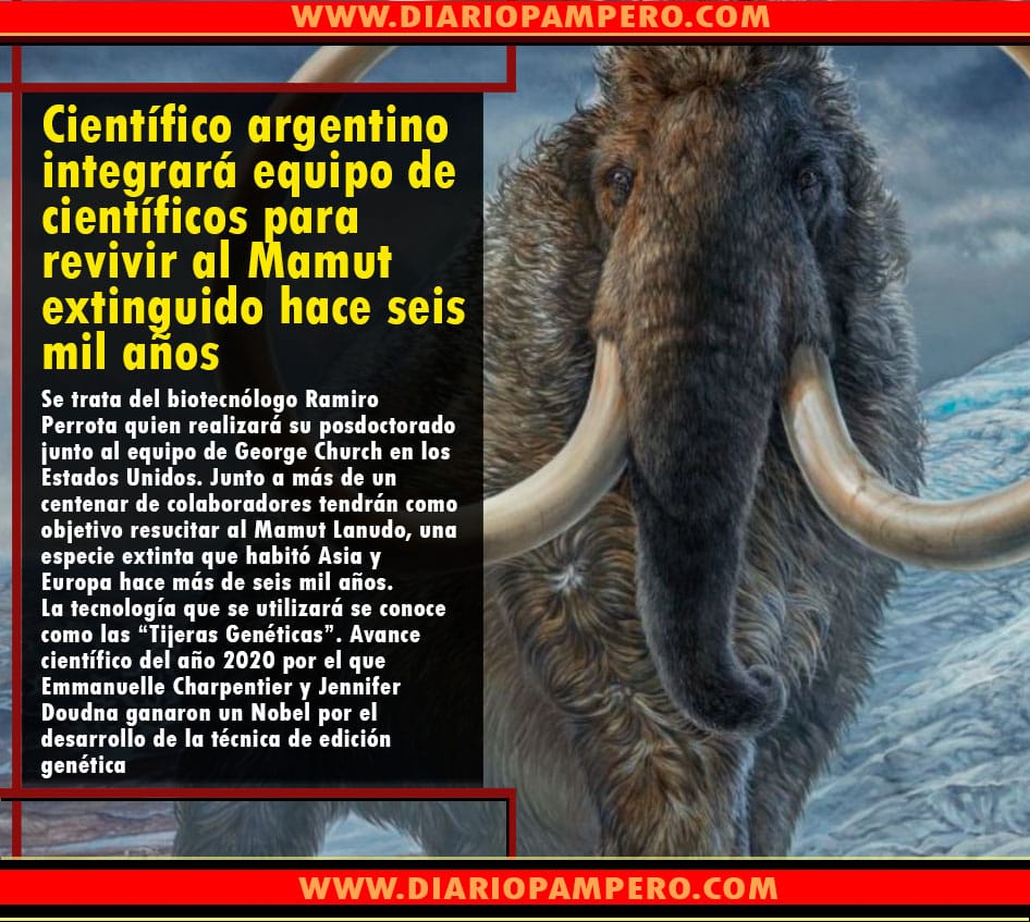 mamut