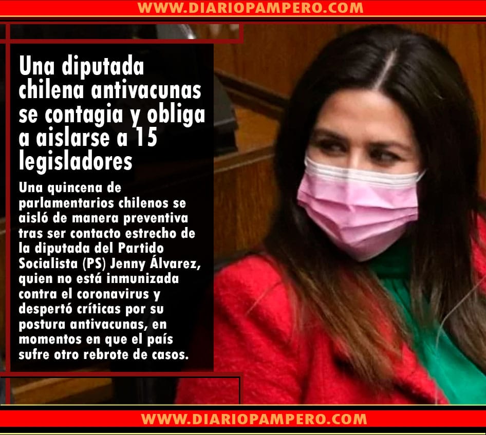 diputada