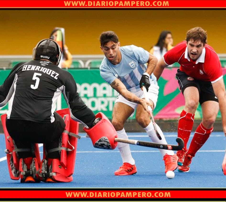 leones_chile