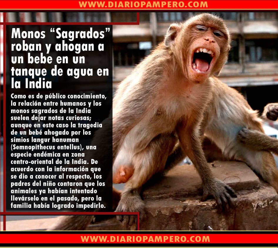 monos