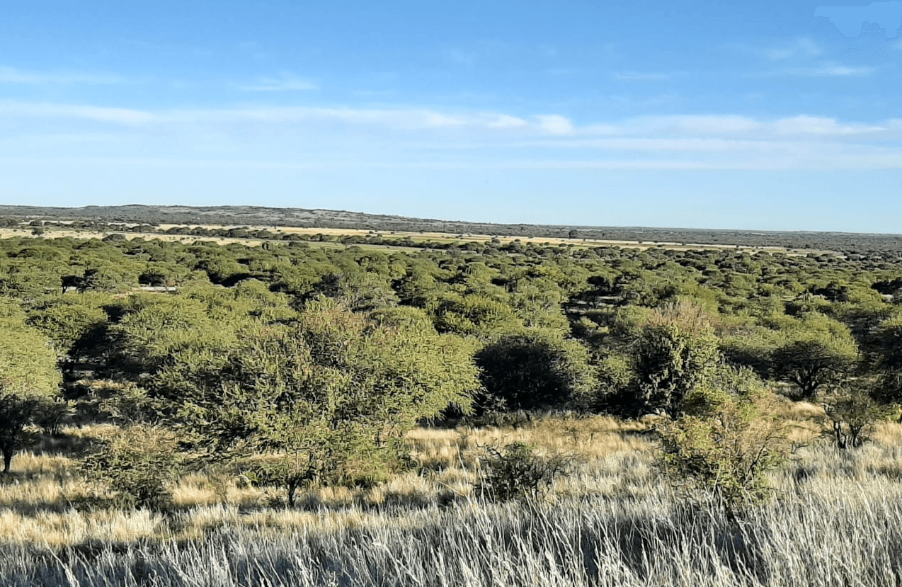 image-24
