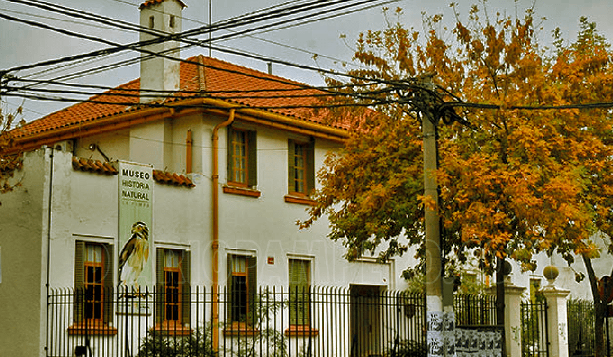 image-269
