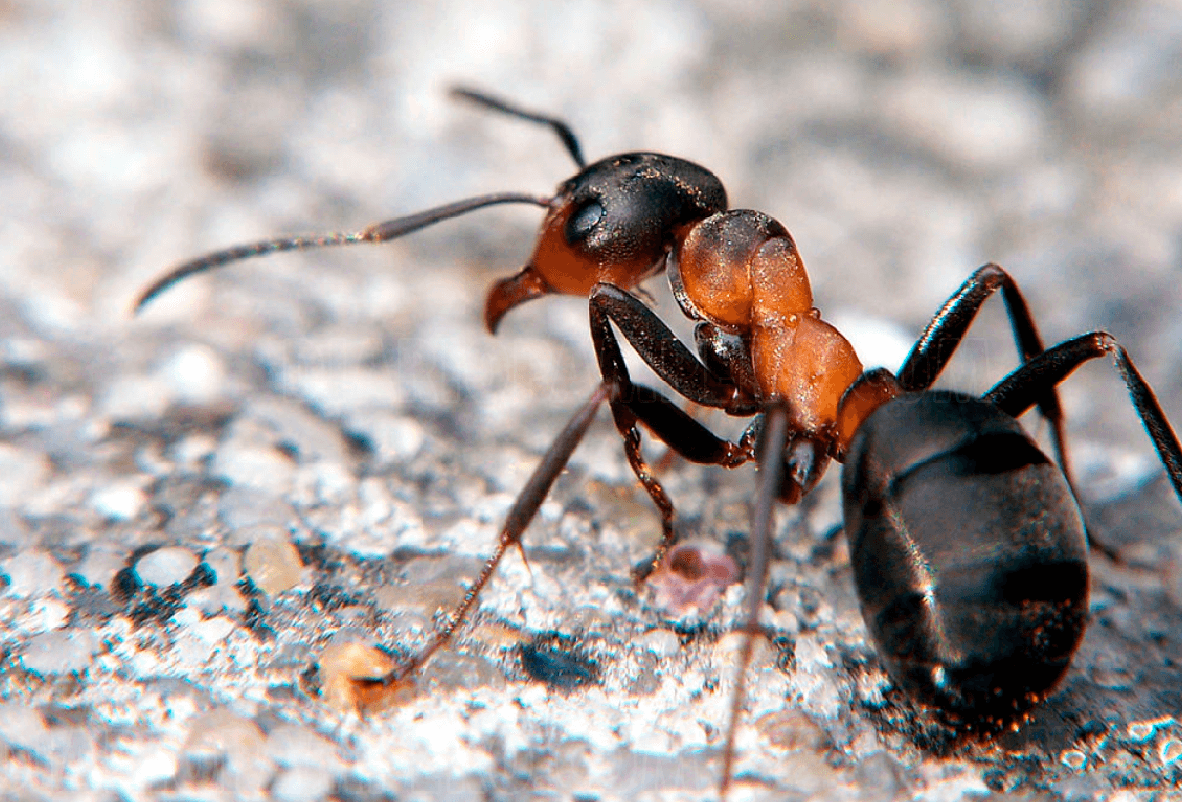 image-62