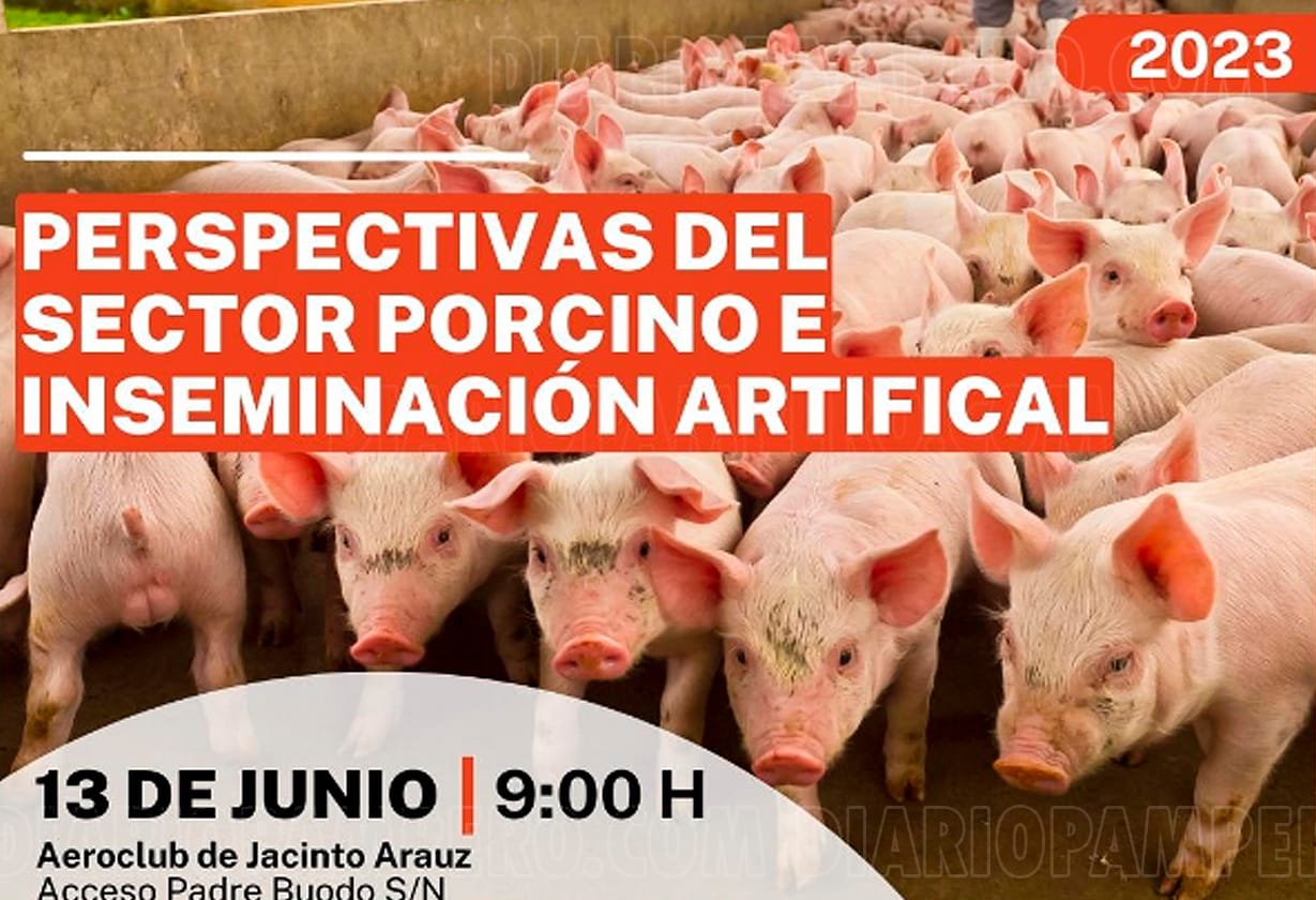 imagen de cerdos