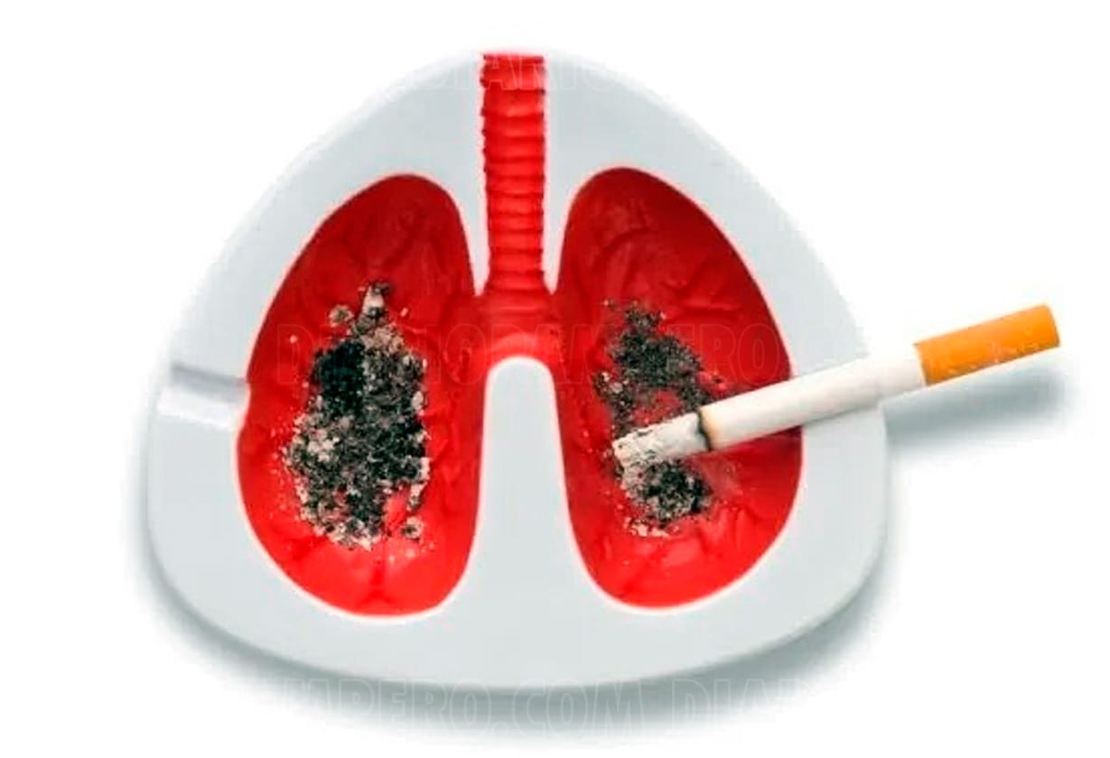 tabaco2