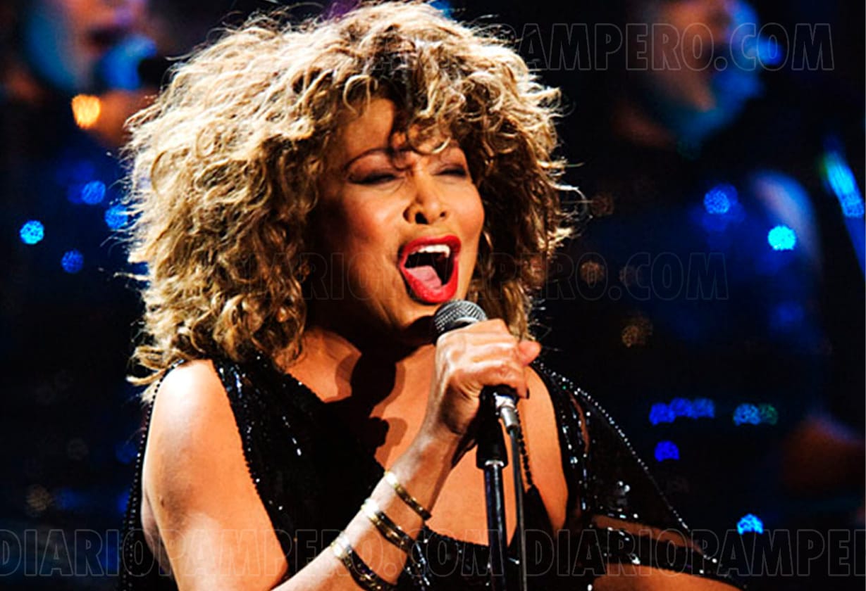 imagen de tina turner