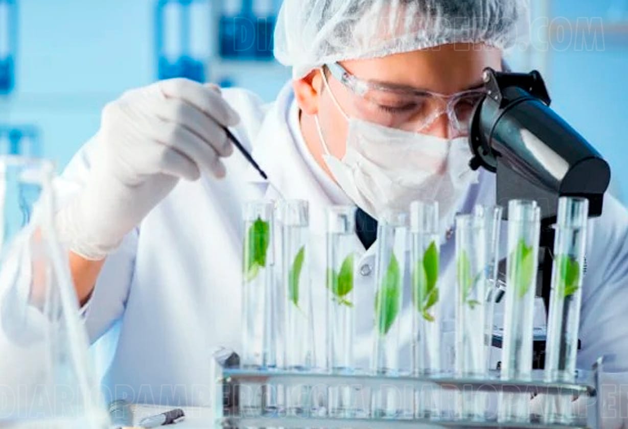biotecnologia