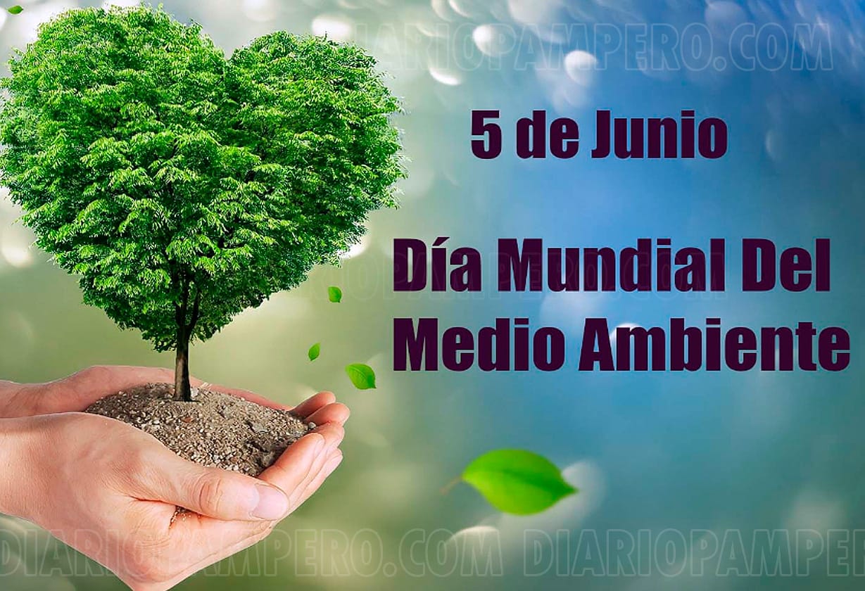 dia_medio_ambiente