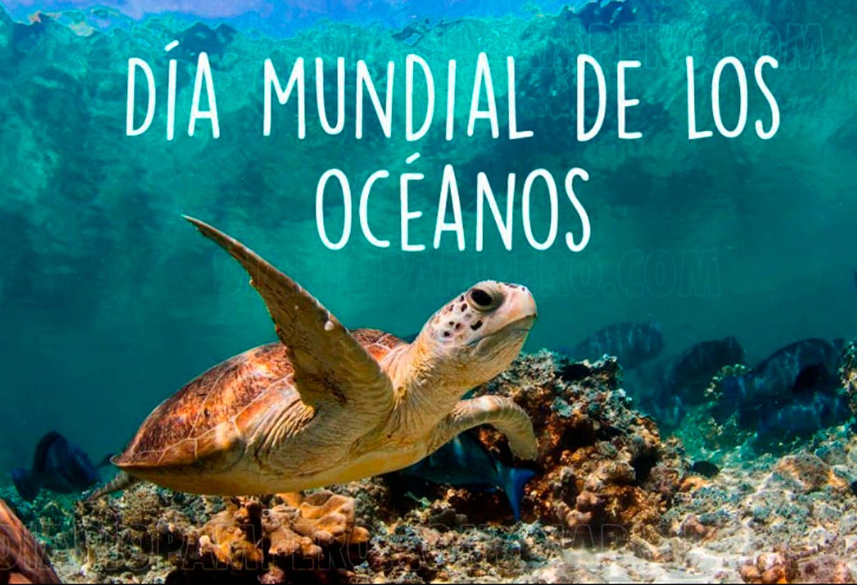 dia_oceanos