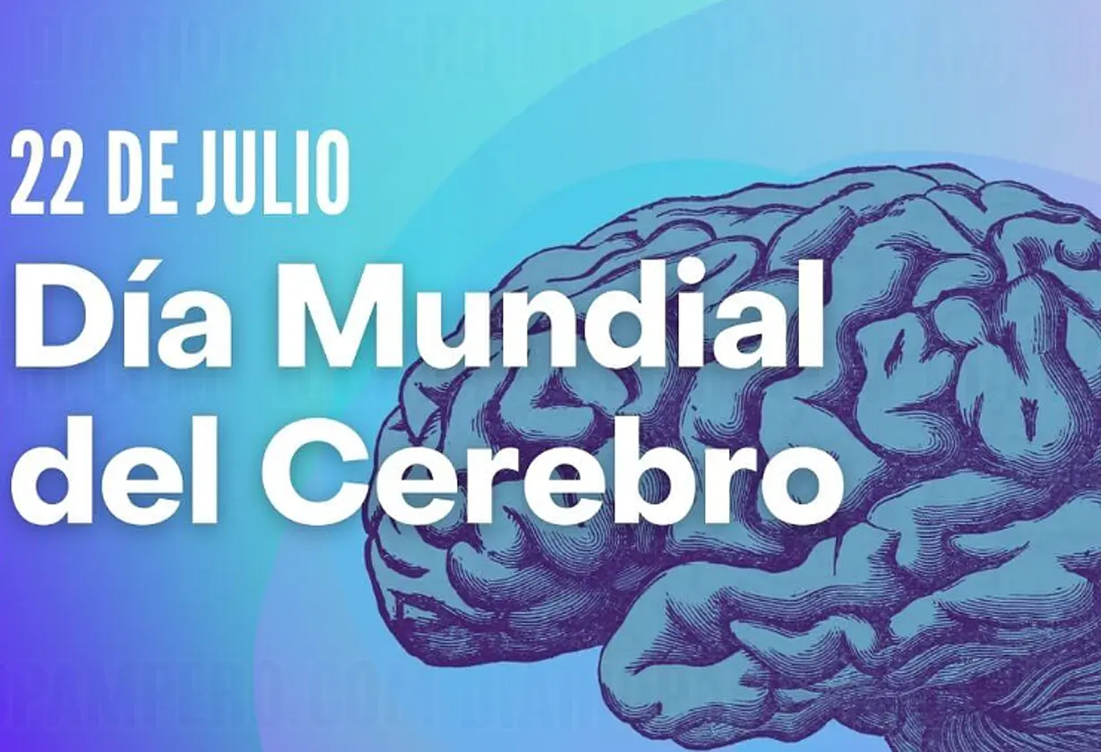 cerebro