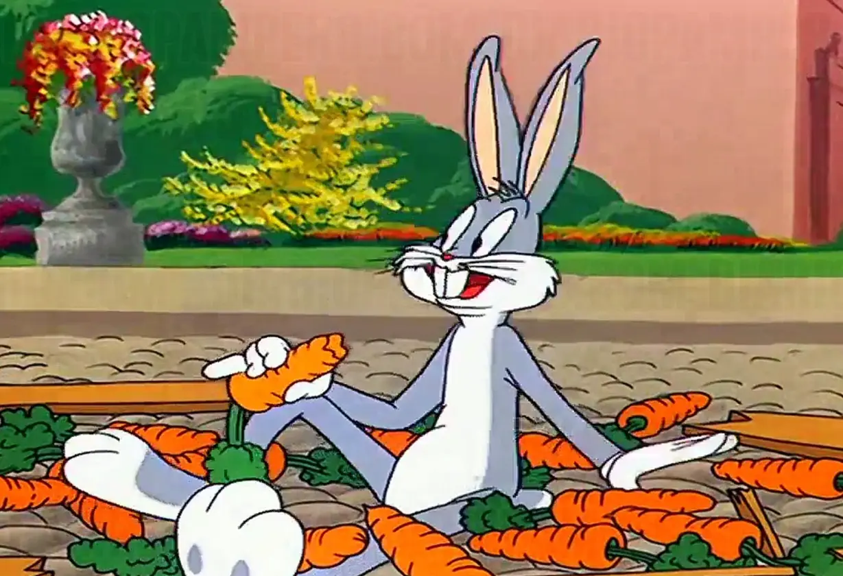 conejo
