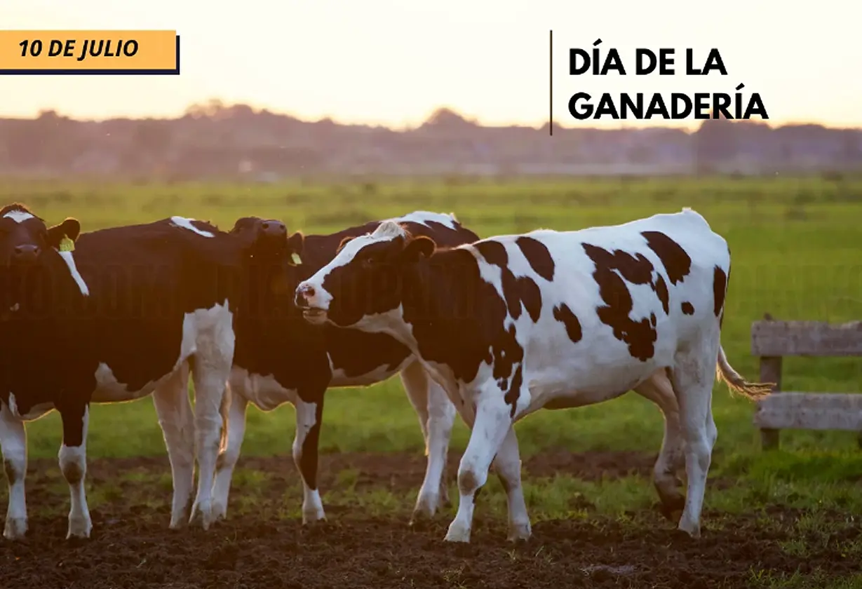 dia_ganaderia