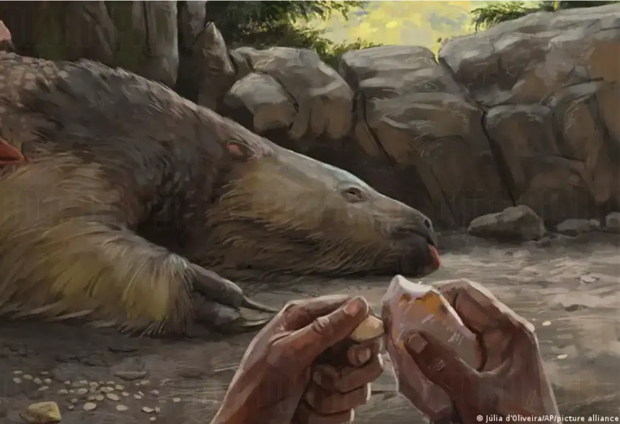 humanos