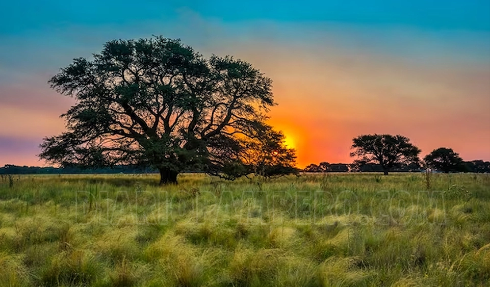 la_pampa