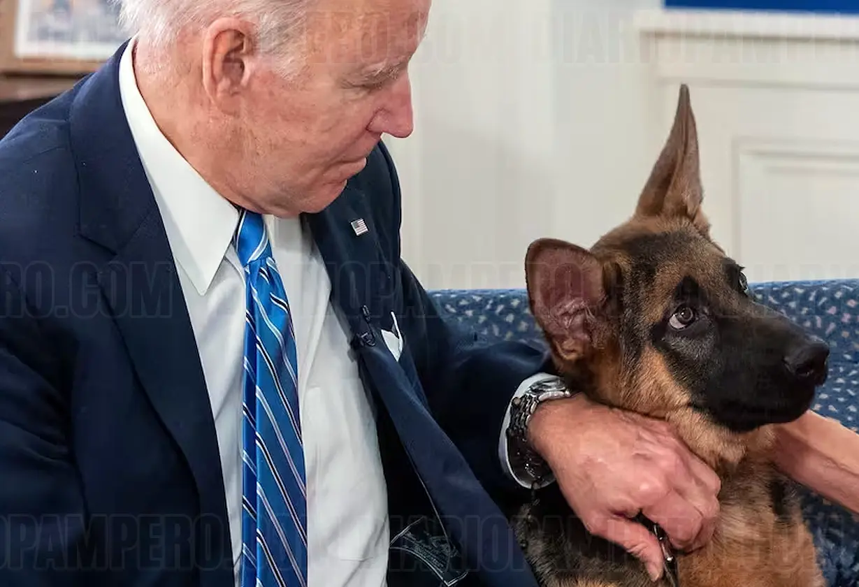 perro_biden