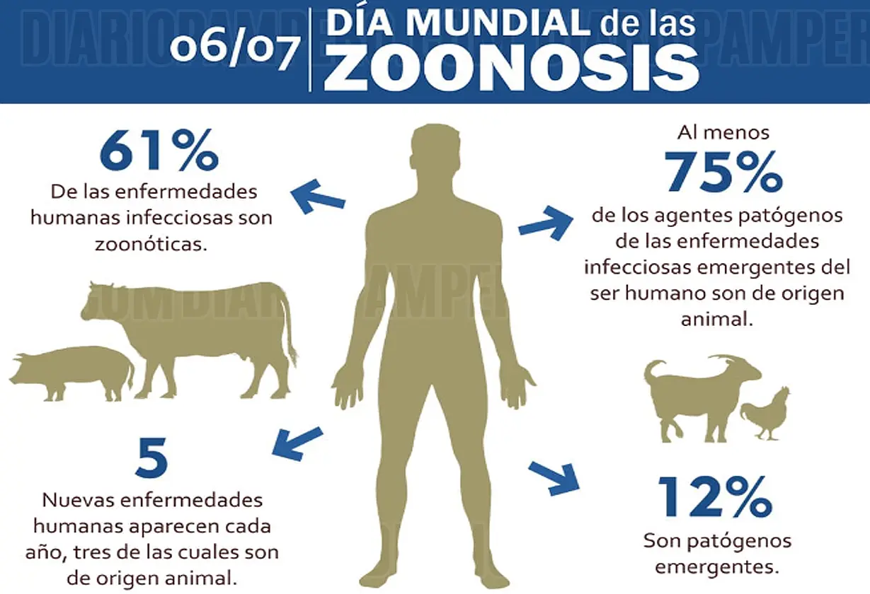 zoonosis