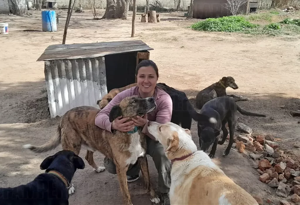 Para trabajar con perros abandonados hay que sentir amor por ellos