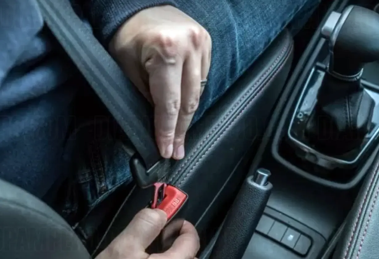 cinturon_seguridad