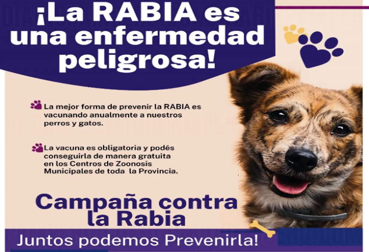 rabia