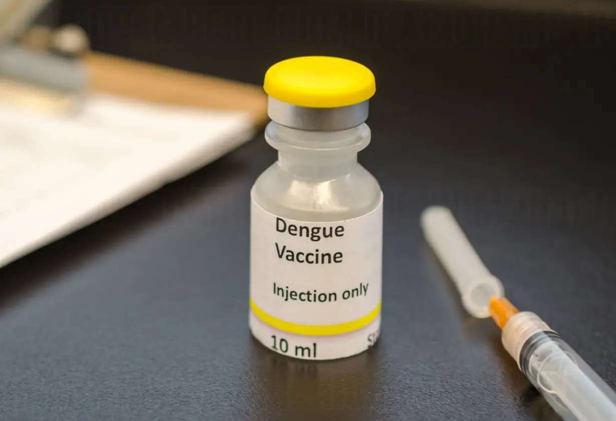 dengue