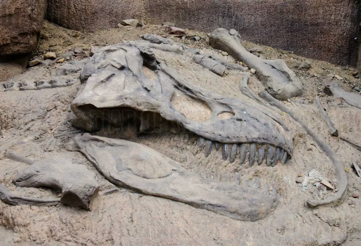 dino