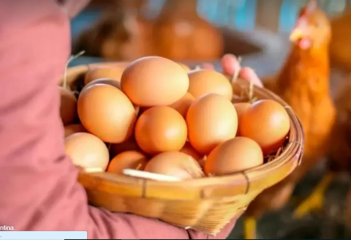 huevos