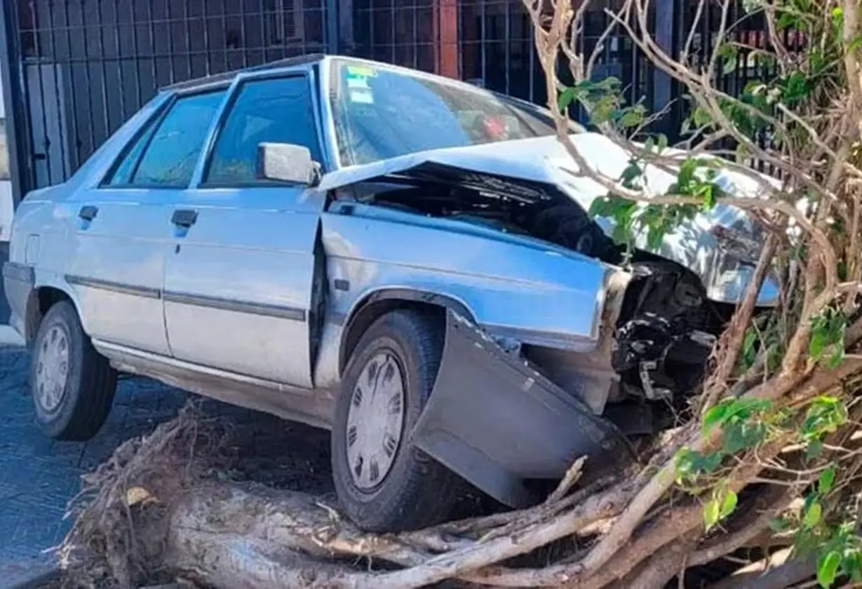 robo_auto