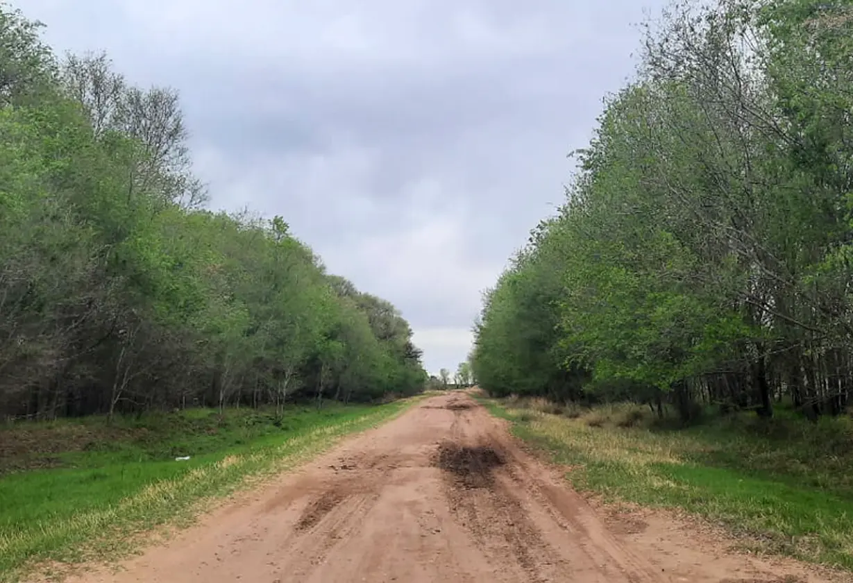 ruta