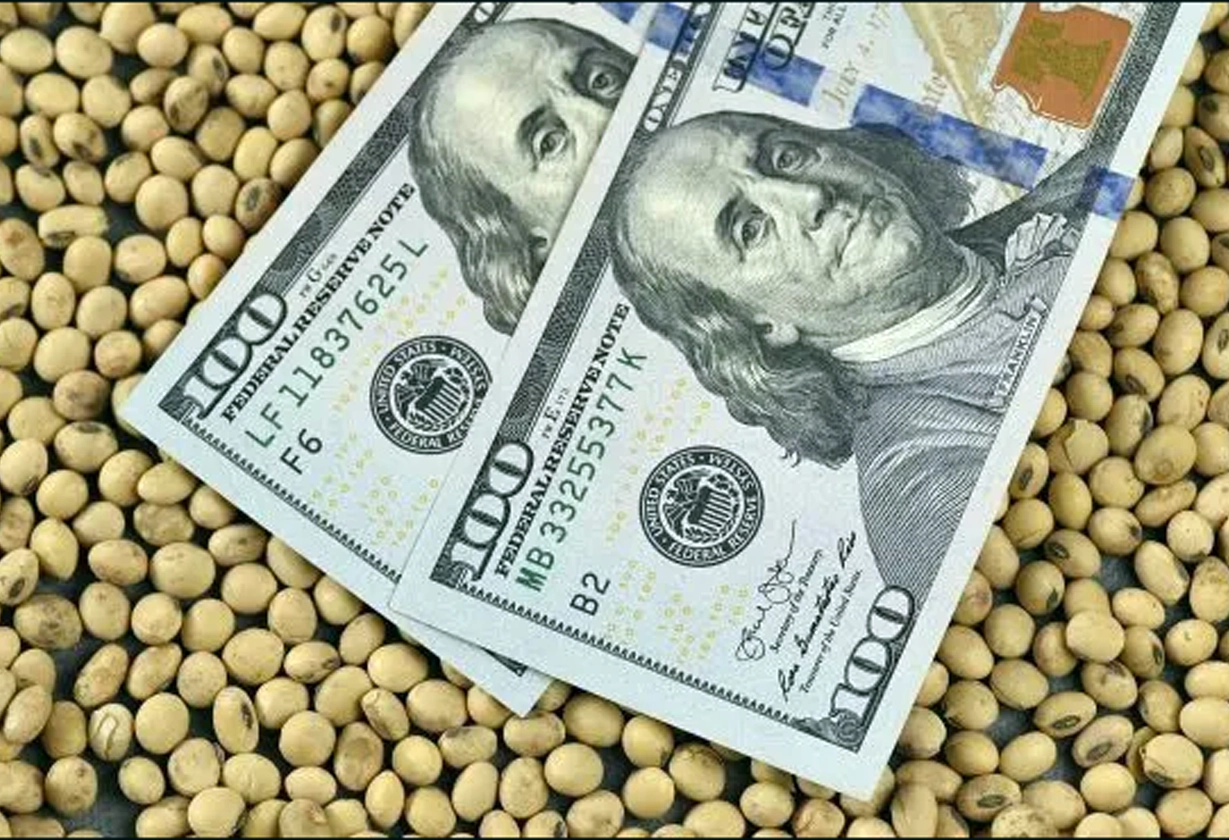 dolar800