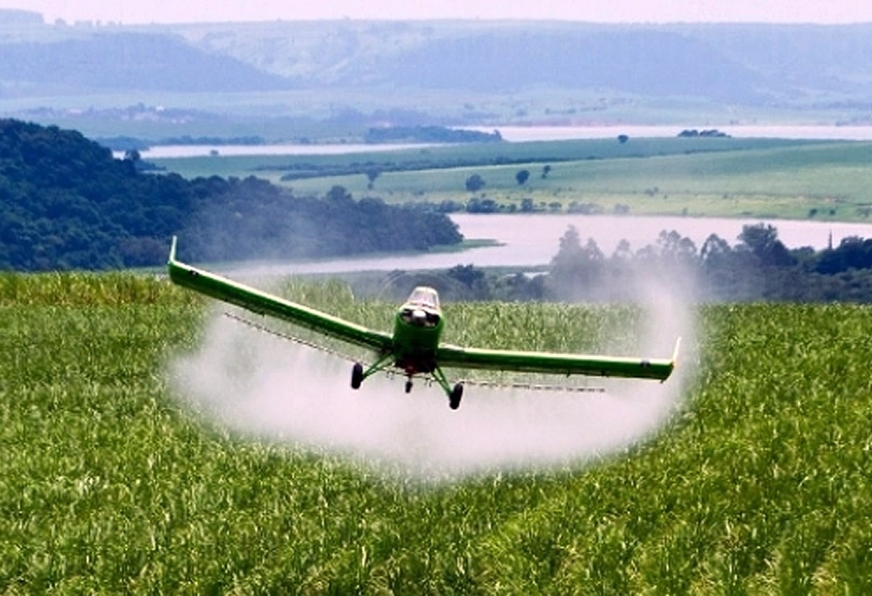 bayer