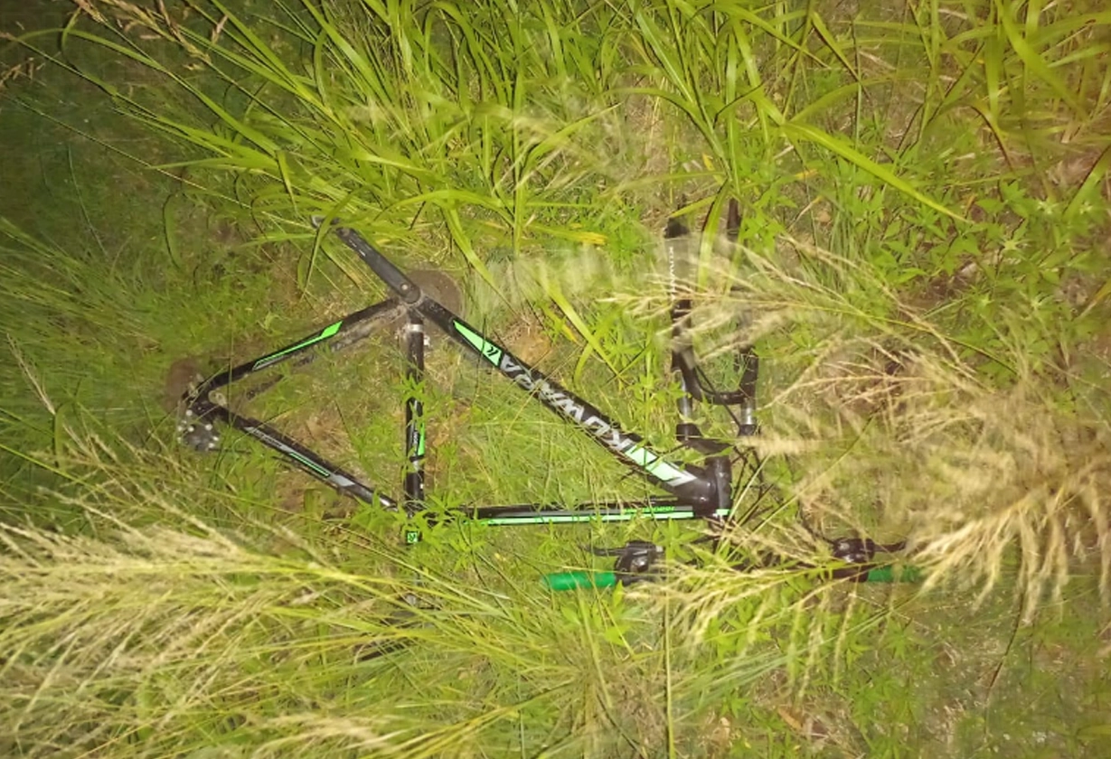 bici_choreada