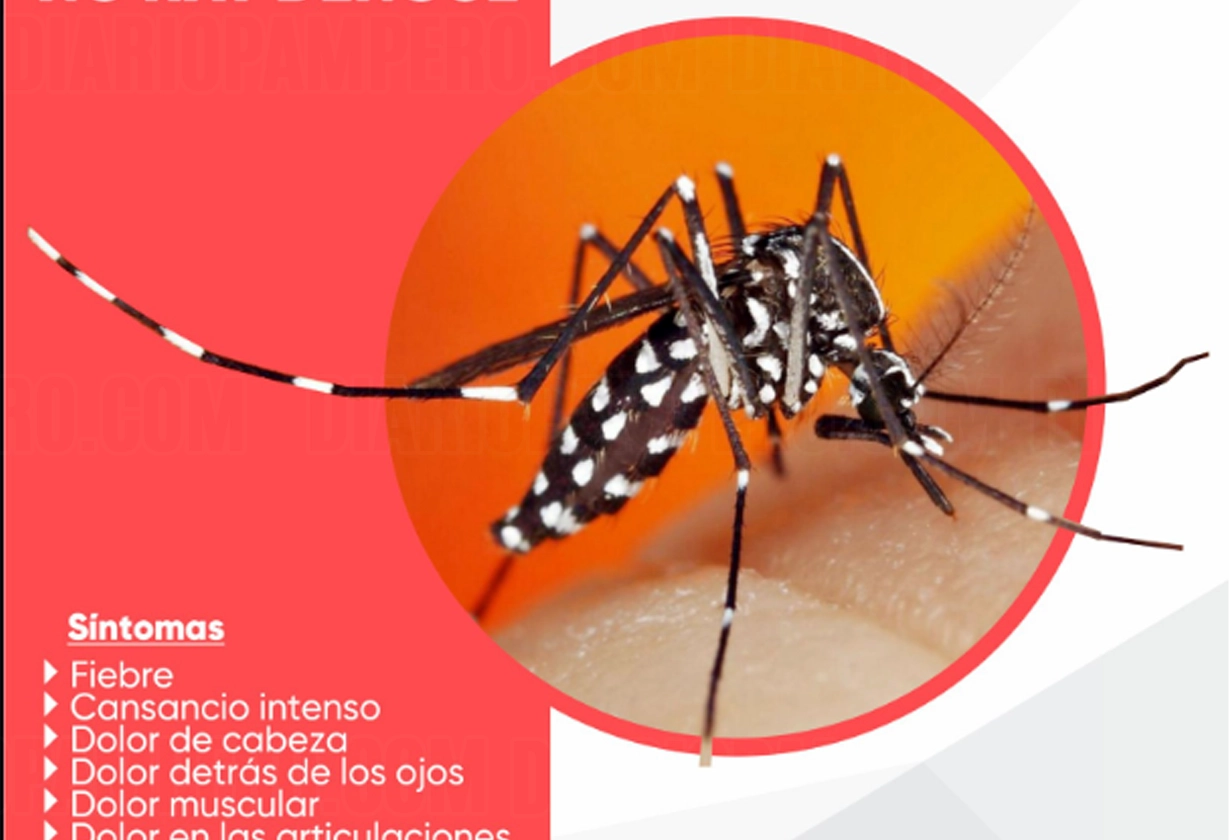 dengue1