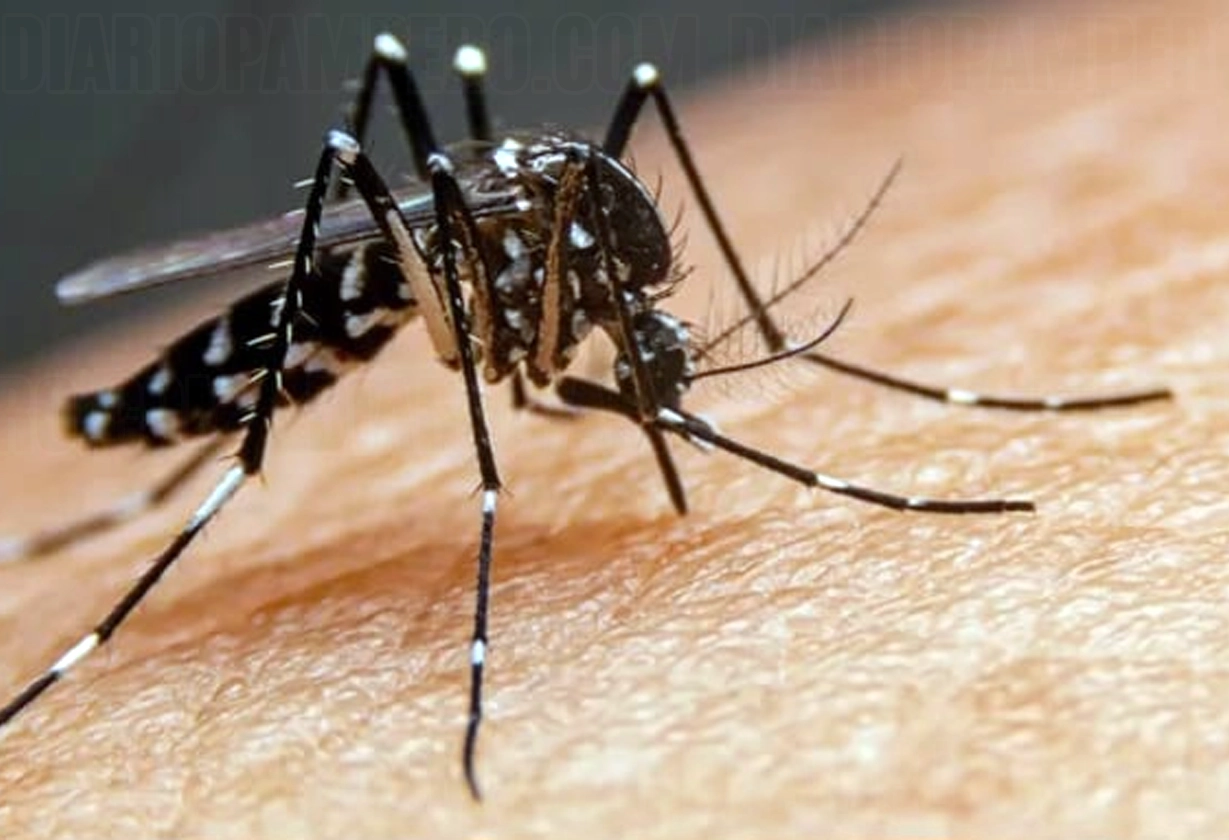 dengue_pampa