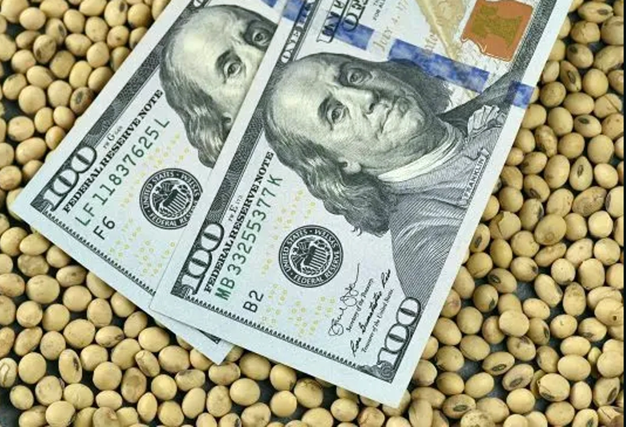 dolar_agro