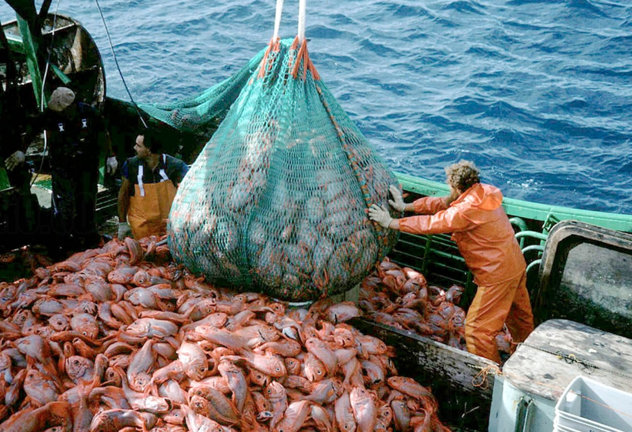 pesca-2
